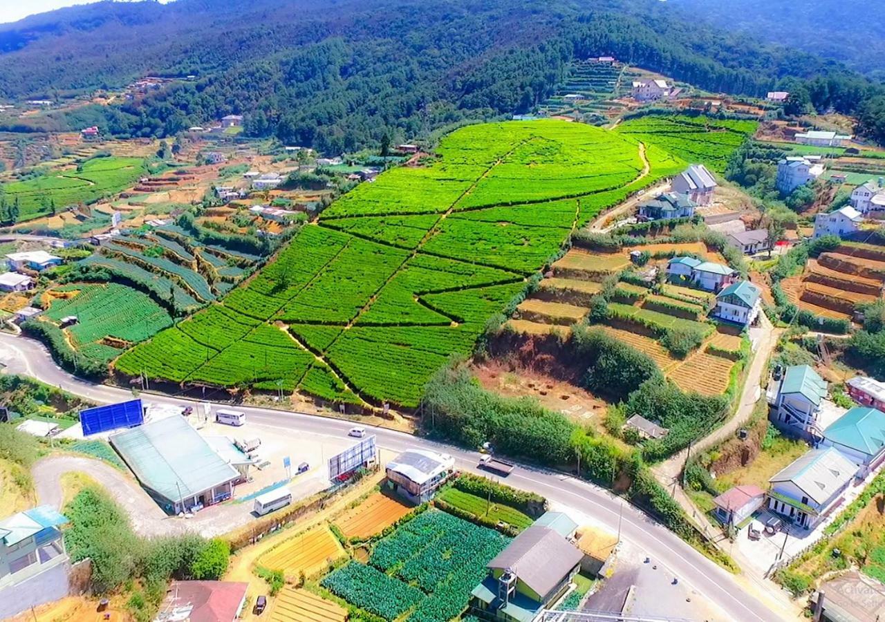 Hummingbird Hill Cottage Nuwara Eliya Ngoại thất bức ảnh